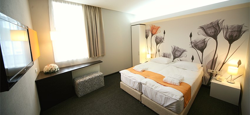 Modern Double Room